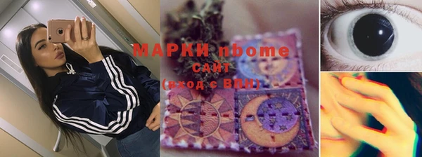 гашик Корсаков