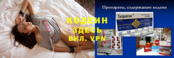 гашик Корсаков