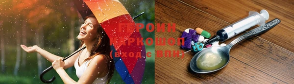 гашик Корсаков