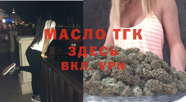 гашик Корсаков