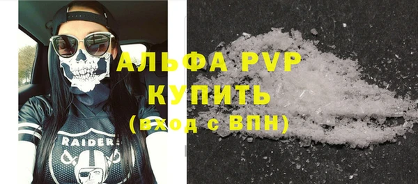 гашик Корсаков