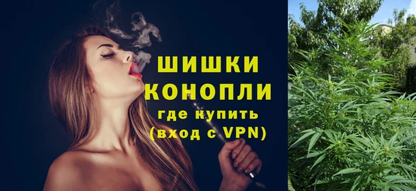 PSILOCYBIN Костерёво