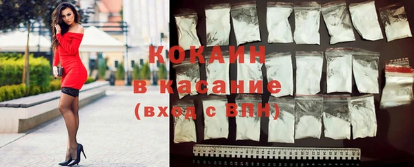 гашик Корсаков