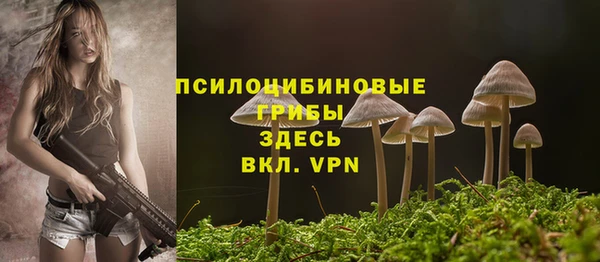 гашик Корсаков