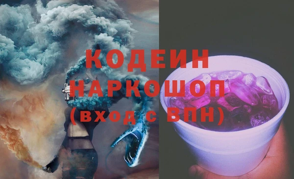 гашик Корсаков
