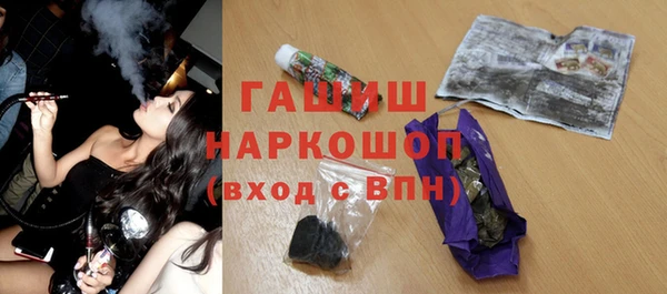 гашик Корсаков