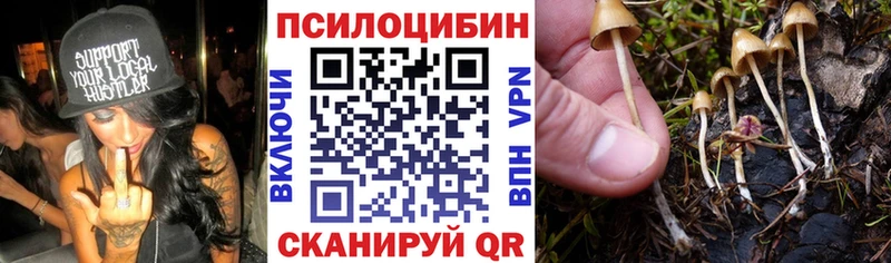 Псилоцибиновые грибы MAGIC MUSHROOMS  Купить закладки  Касли 